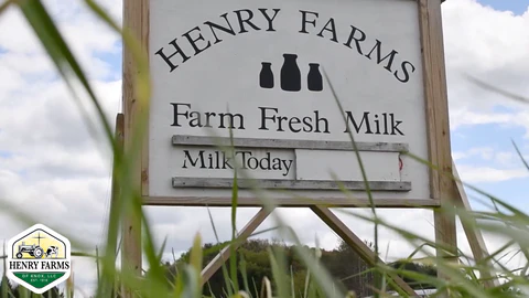 Copy of Milk Sales 480x480