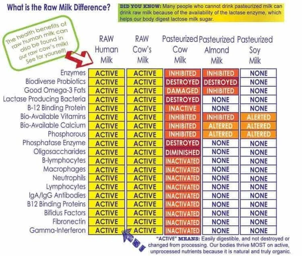 FAQ Raw Milk Table 600x